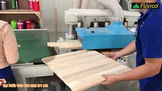 Máy xẻ ván nhiều lưỡi FE-320-6 Đài Loan