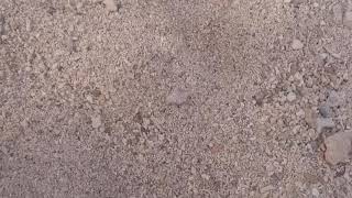 実写動画