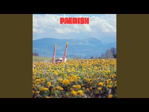 Still There (Live at L’Ancienne Abbaye Saint-Léger)