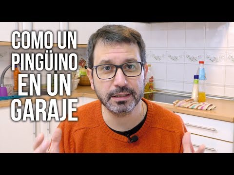 Miniatura del video