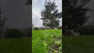 Album cover: HRJ Tree Projects 