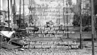 Donnie - Wild Life w Lyrics