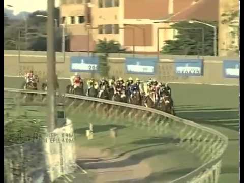 2006 Gr1 Vodacom Durban July - EYEOFTHETIGER