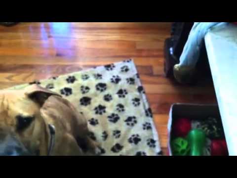 Meghan rings the bell