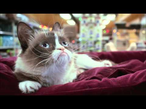 Grumpy Cat's Worst Christmas Ever Official Trailer (2014) - Aubrey Plaza, Daniel Roebuck HD