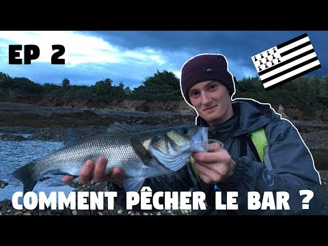 download lagu mp3 mp4 Comment Pecher Le Bar, download mp3 Comment Pecher Le Bar free download mp3, download mp3 Comment Pecher Le Bar