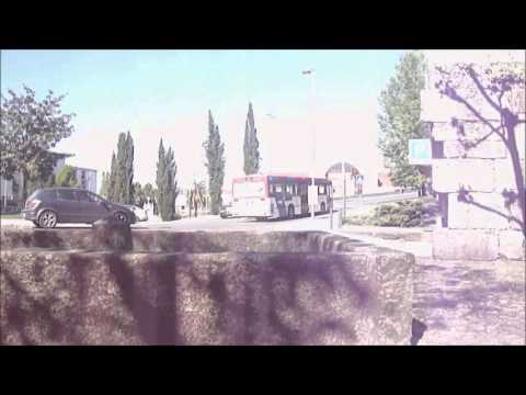 0829 🇵🇹 Penafiel 🚌 Valpi 229 not in service