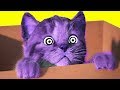 Little Cat Fun Kitten Animal Kids Games By Fox And Sheep