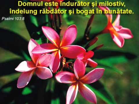 OMULE   TRECATOR...CATI