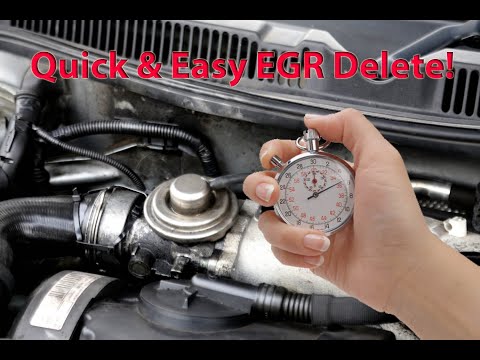 Easy EGR Delete in 1 Minute! VW Golf TDI MK4 EGR Valve-Vacuum Hose Pipe Blocked Off with Bolt/Screw