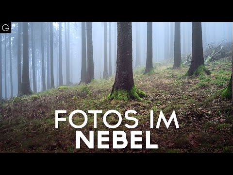 NEBEL FOTOGRAFIEREN im Taunus VLOG#6
