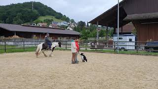 Begegnung Pferd Hund (JUHU-Kurs)