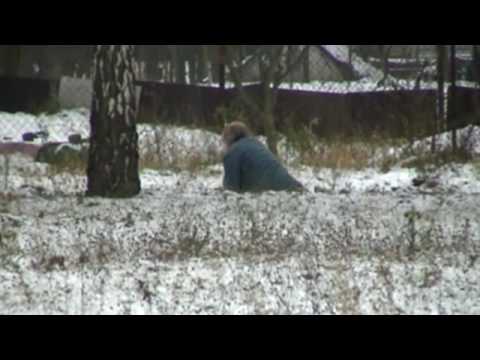 Stamgast ozran Horna Streda 2009