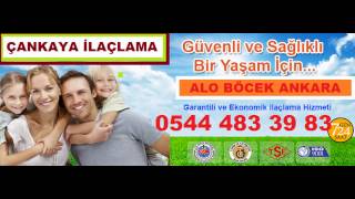 ankara ilaçlama şirketleri