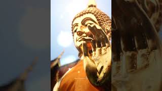 Gautam Buddha Status🥀For You❤Buddha Purnima Whatsapp Status Video 2022🌸4k Status New🤗  #shortvideo