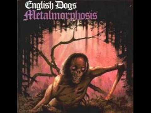 english dogs - nightmare of reality