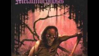 english dogs - nightmare of reality