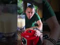 CAMARÃO FEITO ASSIM FICA MUITO MAIS CREMOSO CAMARAO CREMOSO NA MANDIOCA