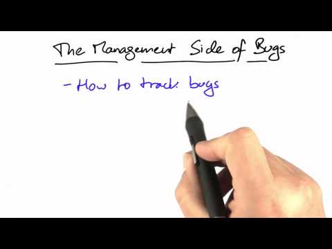 Bug Management Software Debugging