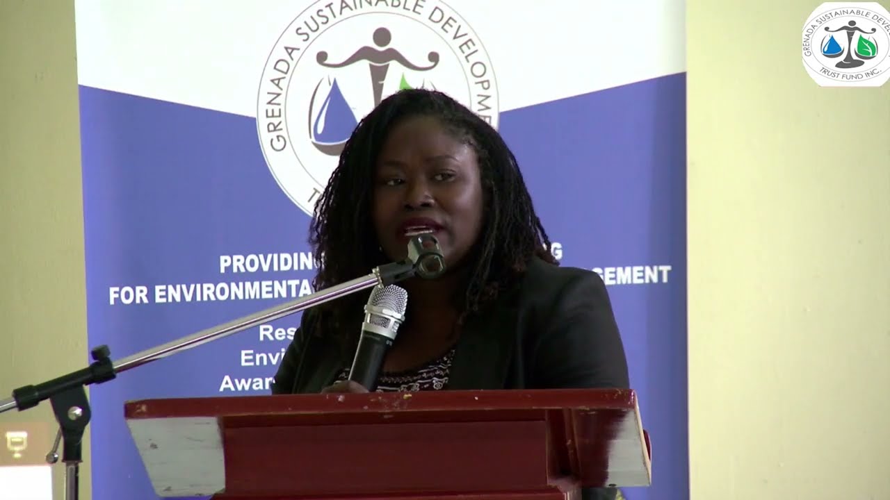 Volunteer Launch CEO Presentation