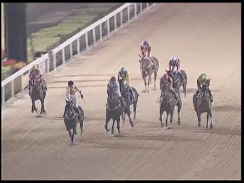 2019-02-22 Race 6(0162) - THE INVERNESS (Div 1)