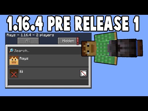 Minecraft 1.16.4 Pre-Release 1 Review | Chat Blocking and Old Version Compatibility!