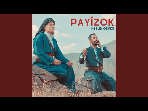 Payîzok