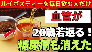 【⚠️なぜ今ルイボスティーが注目？】老後健康を守るルイボスティーの驚きの効果と正しい飲み方・選び方を徹底解説（血糖値・睡眠・血圧対策）