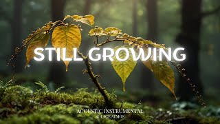 Download lagu Gentle Guitar Music for Calm Focus and Emotional Growth | SOLACE ATMOS mp3 Download lagu Gentle Guitar Music for Calm Focus and Emotional Growth | SOLACE ATMOS mp3