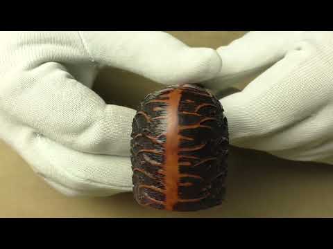 Amorelli Wriggle Frac - pipe 265