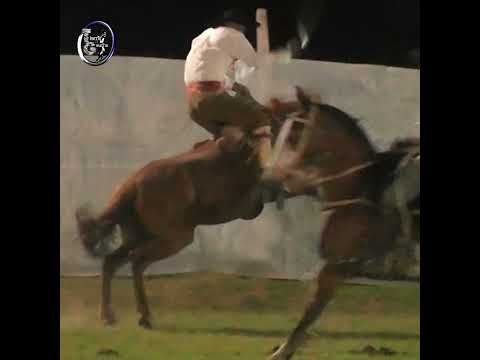 Rueda del basto con LA SECRETARIA en Alejandra Santa Fe