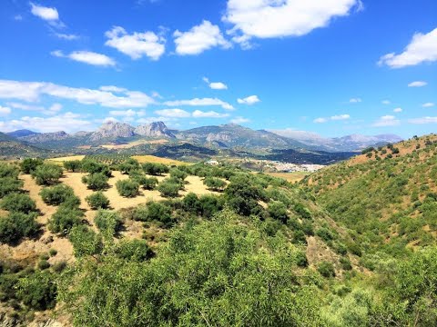 for sale Country House/ Landhaus on Colmenar-Andalusien Naumann & Donadeo Immobilien