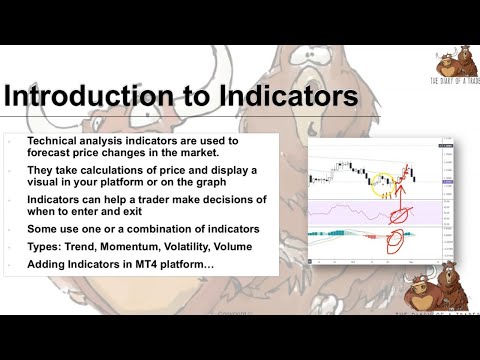 what is indicator in forex trading - forex indicator basics