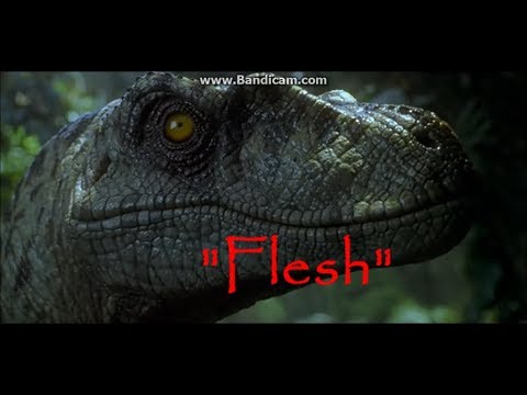 Raptors Tribute - Flesh