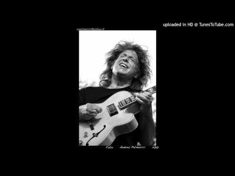 Pat Metheny Trio - - Bright Size Life (Live)