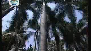 Download lagu Revi Mariska - Kejamnya Dunia [ Ost. Kabut Kabut Cinta ] Versi Indosiar mp3