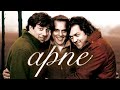 Apne 2007 Bollywood Movie Bollywood Movie 2007