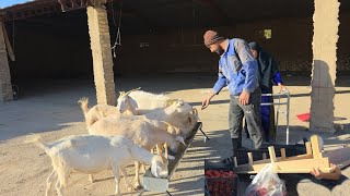 Download lagu **The viewer who made the master builder happy with a financial donation** mp3 Download lagu **The viewer who made the master builder happy with a financial donation** mp3