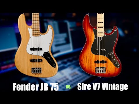 Fender 75 vs Sire V7 Vintage Jazz Bass Comparison (Ash/Maple)