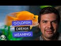 Goldfish dream meaning & symbolism - It's not all positive
