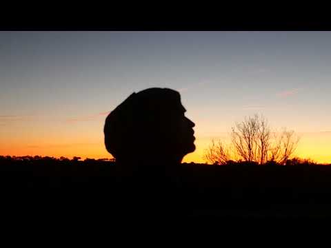 L'ENVOÛTANTE - Cellules