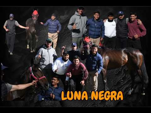 LUNA NEGRA - LA PREVIA - CHALLENGER HEMBRAS 600 MTS, LA DIOSA TRES ISLETAS CHACO