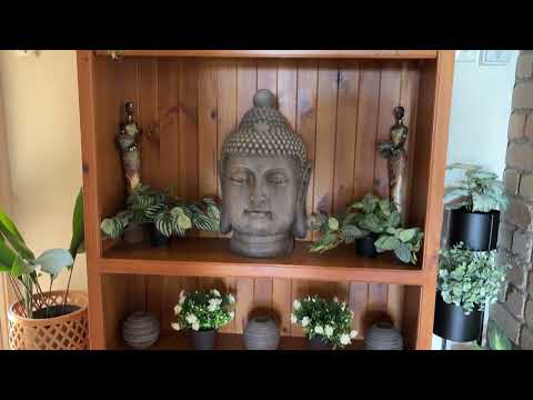 30779 PRINCES HIGHWAY, Millicent, SA 5280, 4 غرف, 2 حمامات, House