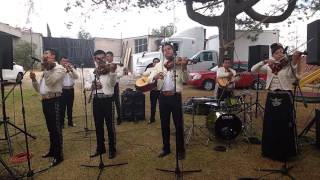 Mariachi Los Gavilanes España Cañí