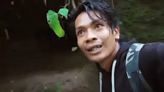 Download lagu Mikat Burung Kacer Air Seru Banget #burungkicaudialamliar #bikinngakaksakitperut #kicaumania mp3