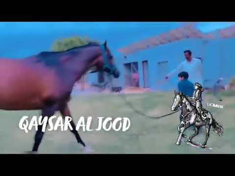 Muneeb Fav Moments...