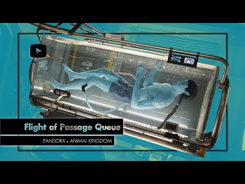 Avatar Flight of Passage Full Queue Walkthrough