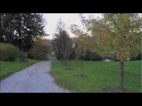 MLS# 95583 | 20442 Alden St Meadville, PA 16335 | Emily Palmiero