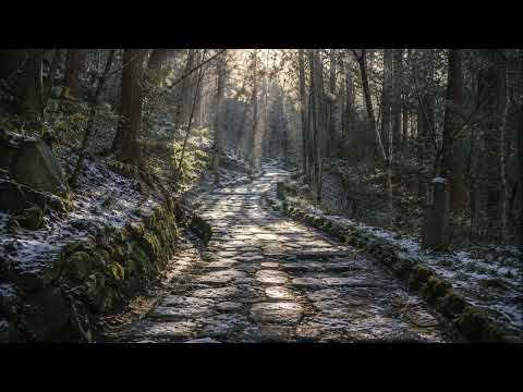 Sounds of the Journey Episode 051 — Winter Light on Yagyu Kaido (Guitar) | Nara ambient BGM