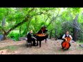 Christina Perri -- A Thousand years (Piano-Cello ...